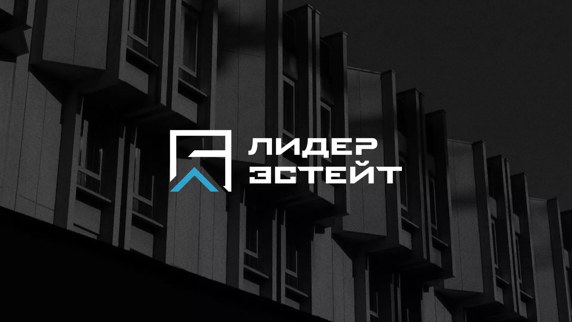 Разработка логотипа агентства недвижимости «Лидер Эстейт» в Тогучине